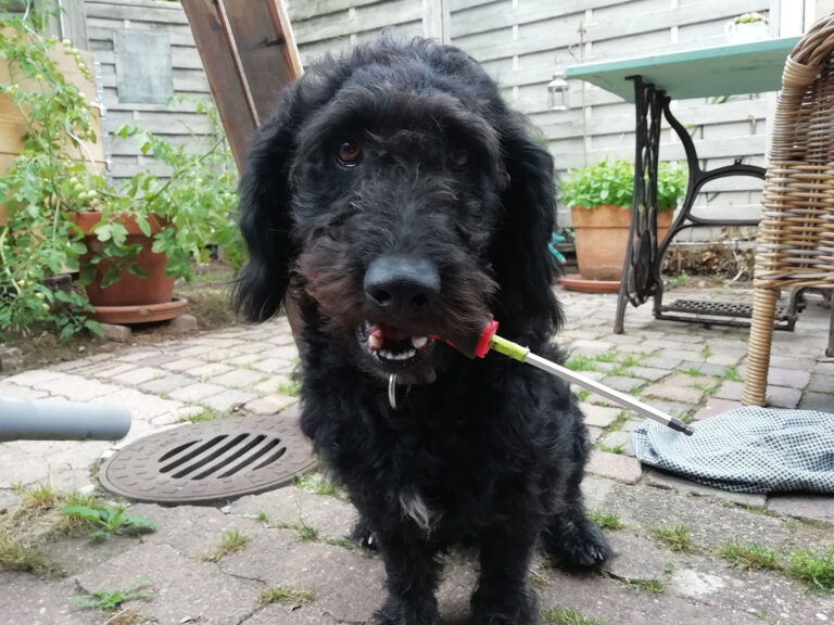 freiebauten-Montageleitung-und-Sicherheit